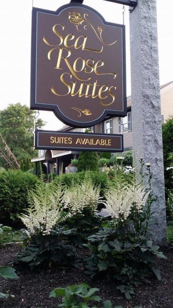 Sea Rose Suites Ogunquit Esterno foto